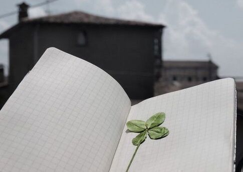 Four leaf clover - a talisman for good luck