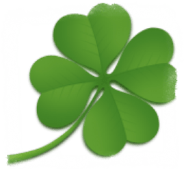 Four-leaf clover symbolizes good luck
