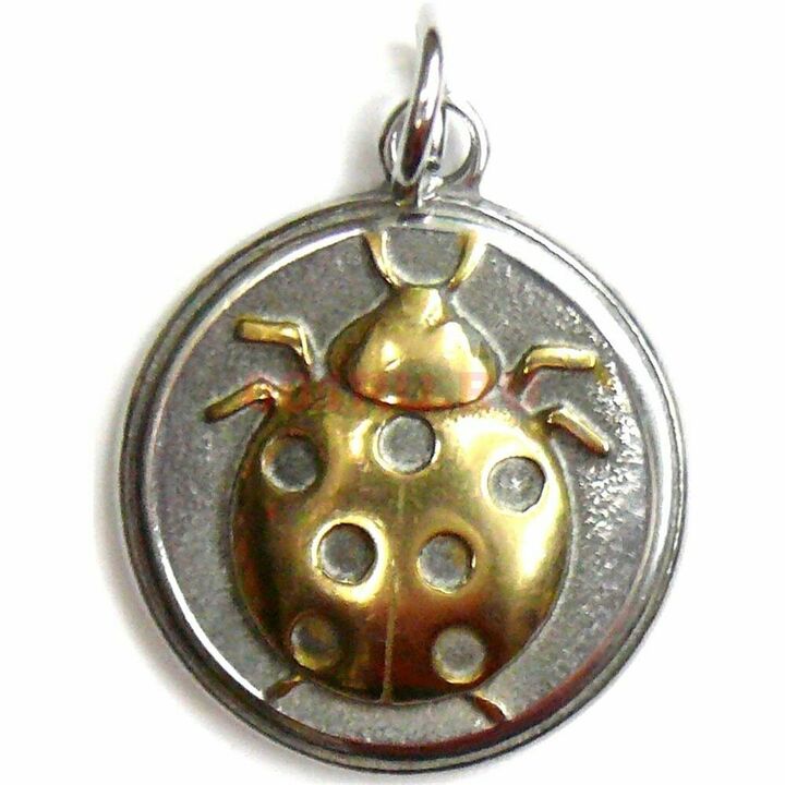 amulet ladybug - brings material luck